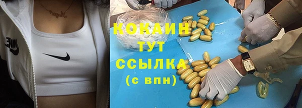 ПСИЛОЦИБИНОВЫЕ ГРИБЫ Баксан