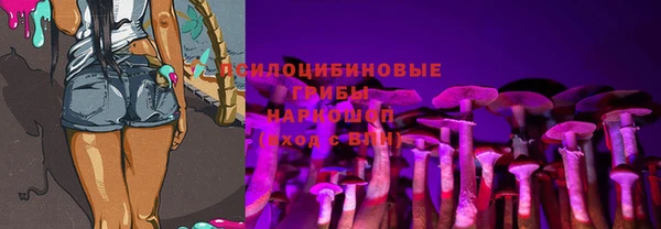 прущие грибы Балабаново