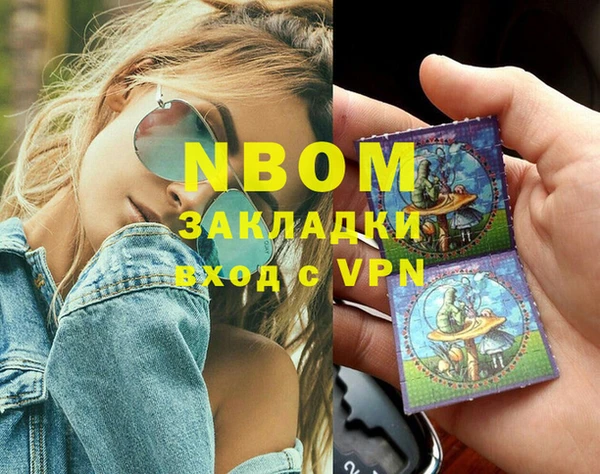 прущие грибы Балабаново
