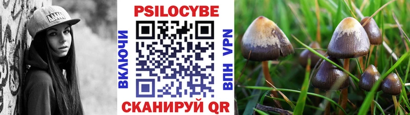 Галлюциногенные грибы Magic Shrooms  Джанкой 